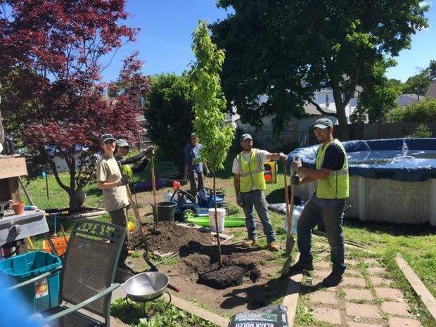 men with shovels standing over hole in ground