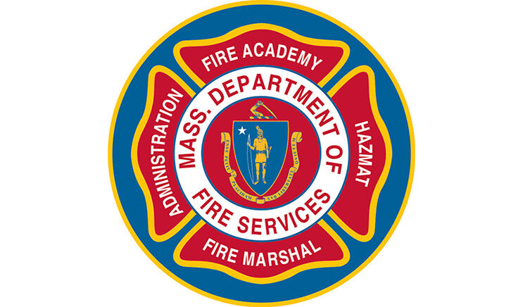 DFS Logo