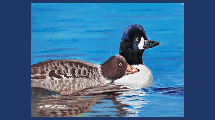 JDS Best of Show acrylic painting of a Barrow’s Goldeneye pair