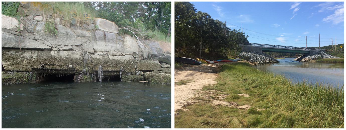 Muddy Creek Salt Marsh Restoration, before and after. 