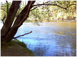 park with water