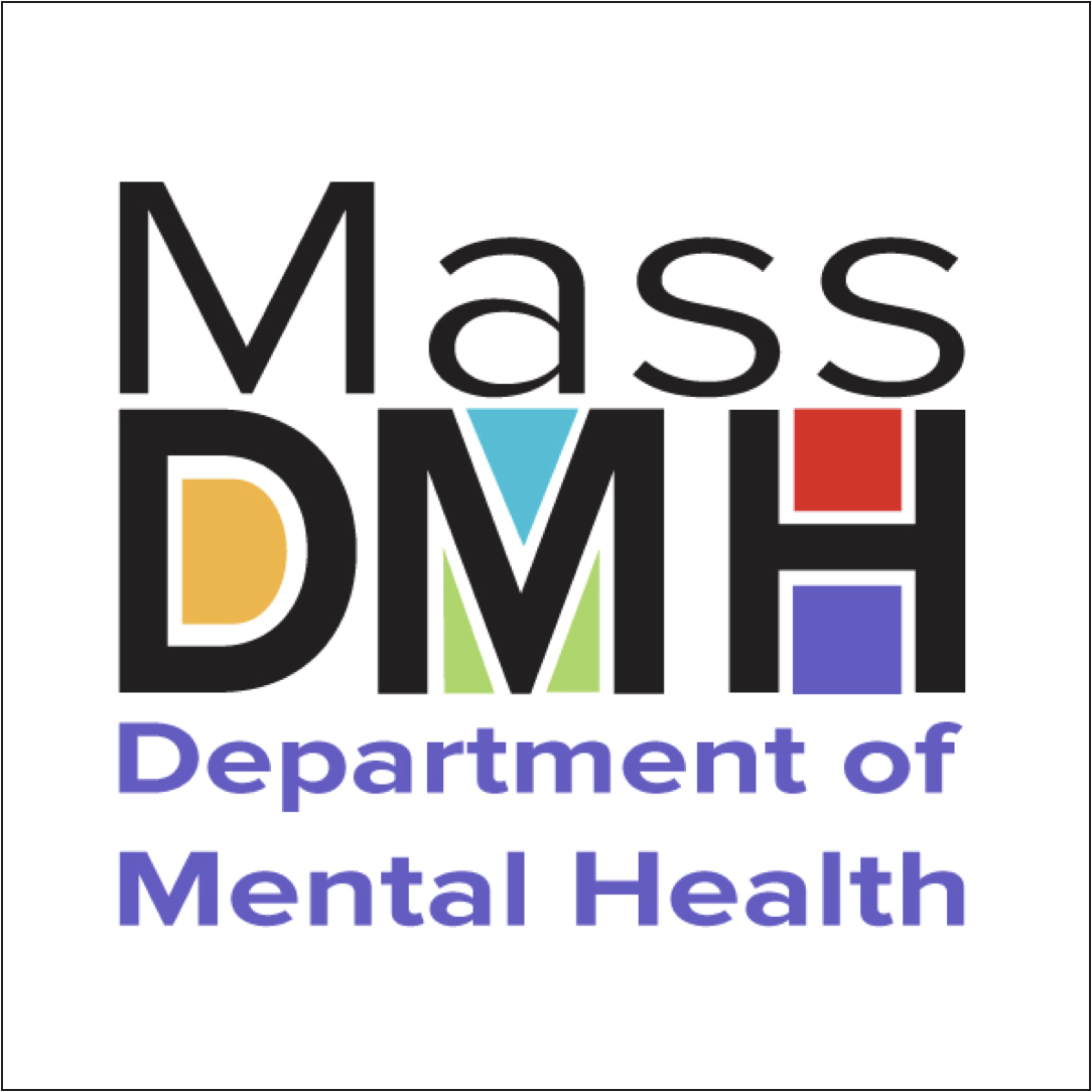 An image of the DMH logo.