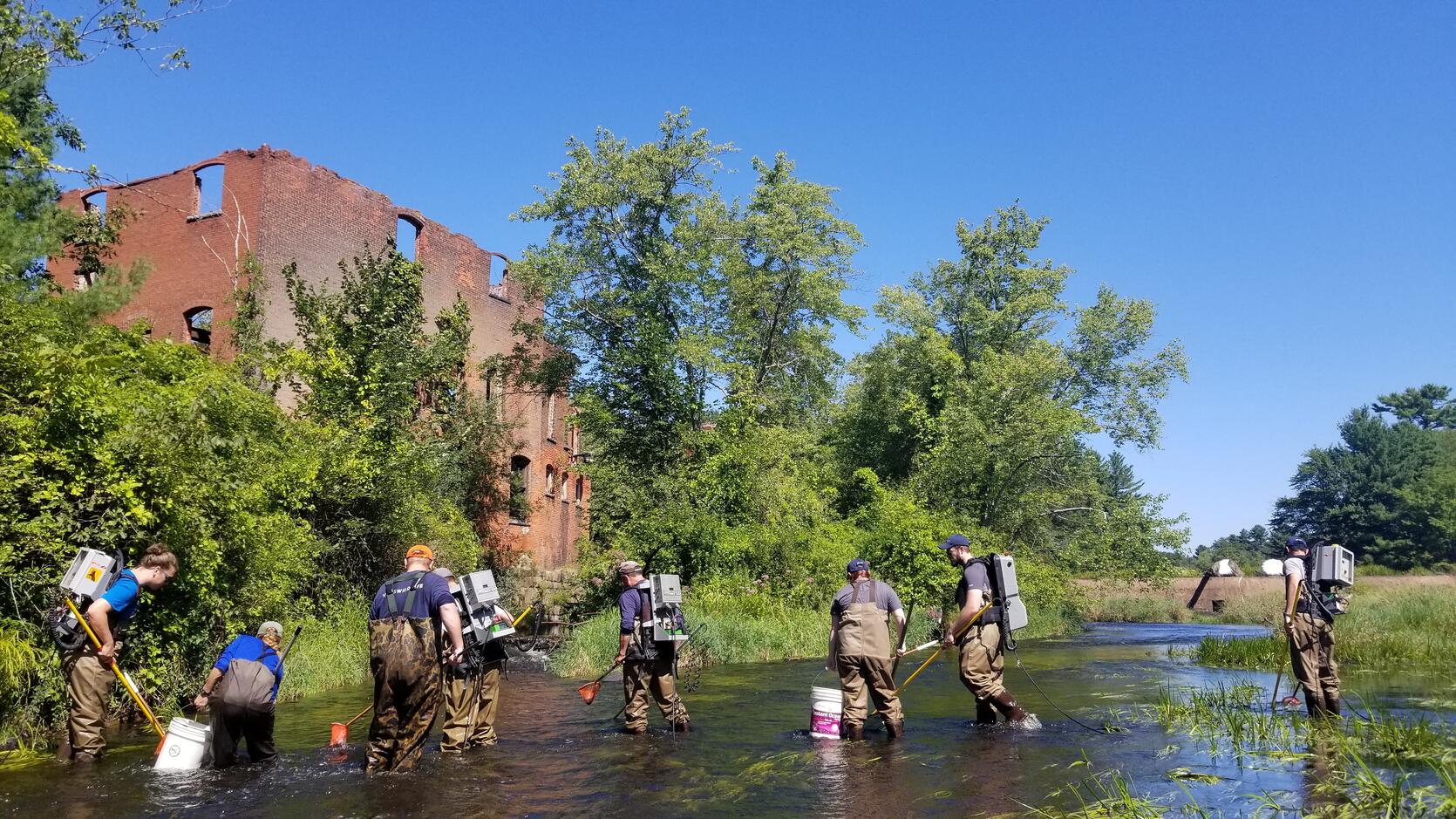 MassWildlife samples river