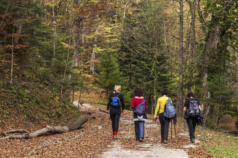 young group hiking in fall