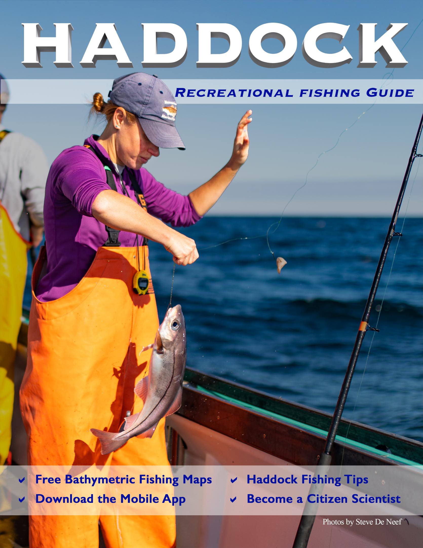 haddock guide cover page