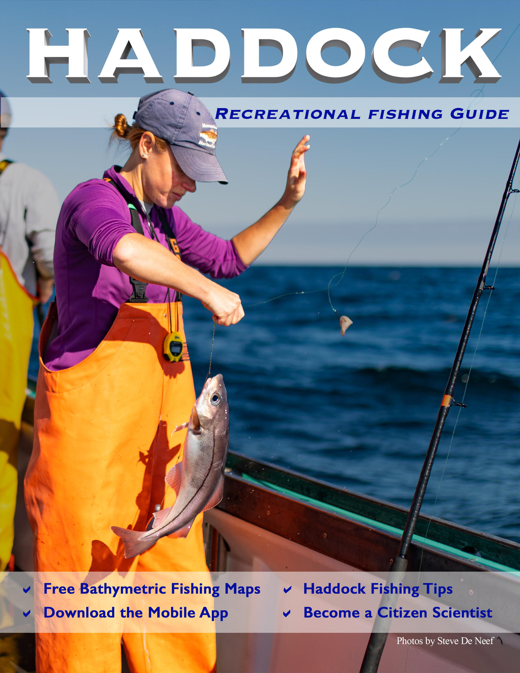 haddock guide cover page