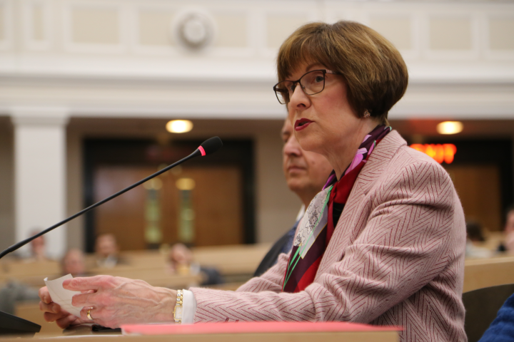 Auditor Bump testifying before a legislative committee.