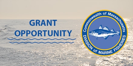 grant opportunity image with DMF logo