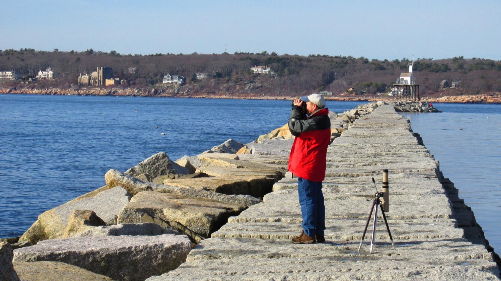 Winter birdwatching