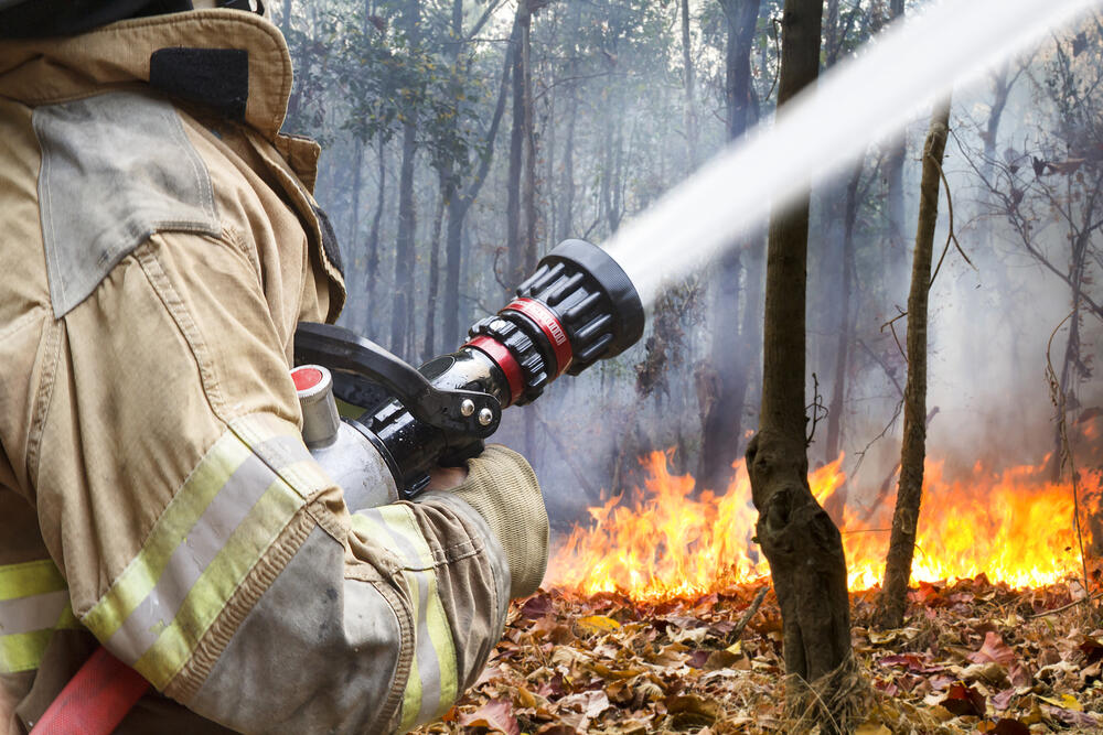 Firefighter fighting woodland fire