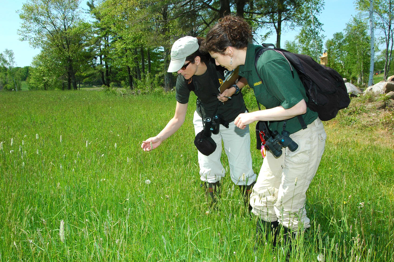 MassWildlife iNaturalist