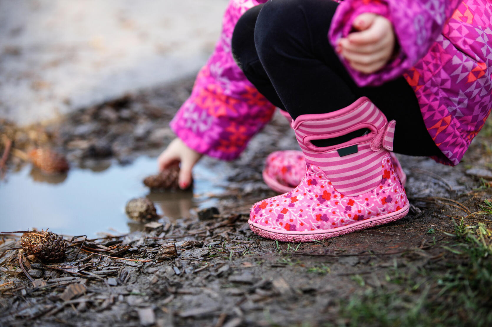 puddles