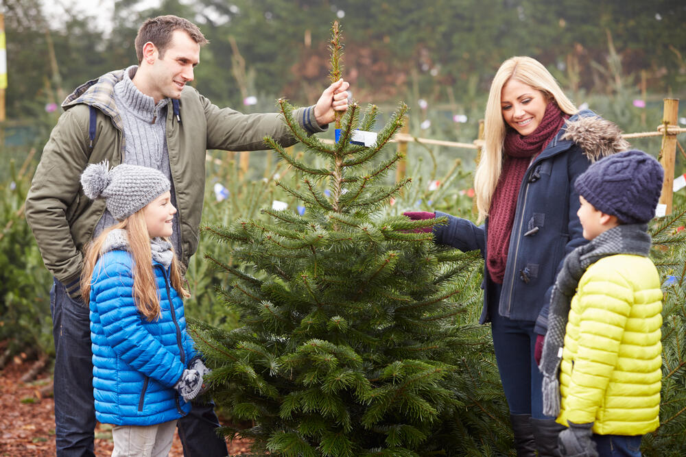 Family selecting live Christmas tree
