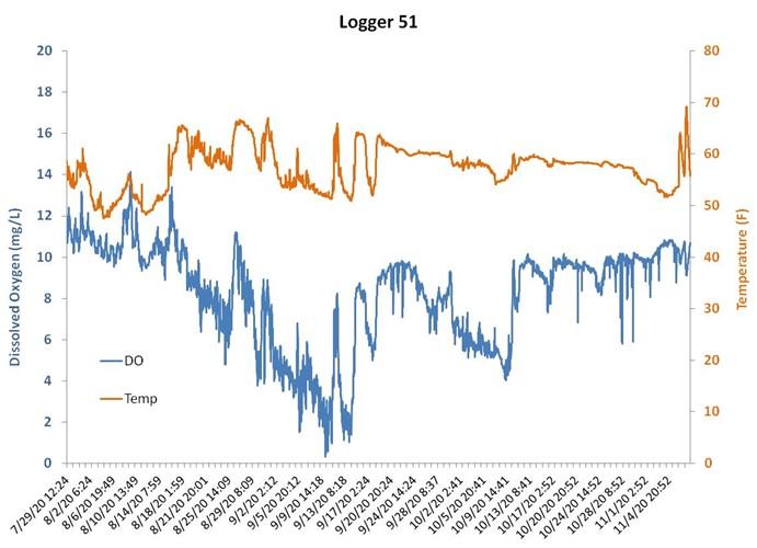 Dissolved oxygen (DO) and temperature recorded by a Study Fleet logger in southern Cape Cod Bay, near Sagamore, from late July through early November 2020.  DO values less than 4 mg/L are considered hypoxic.