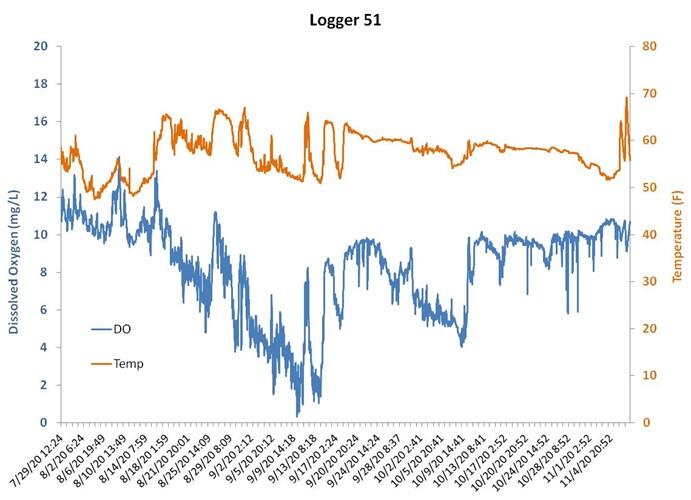 Dissolved oxygen (DO) and temperature recorded by a Study Fleet logger in southern Cape Cod Bay, near Sagamore, from late July through early November 2020. DO values less than 4 mg/L are considered hypoxic.