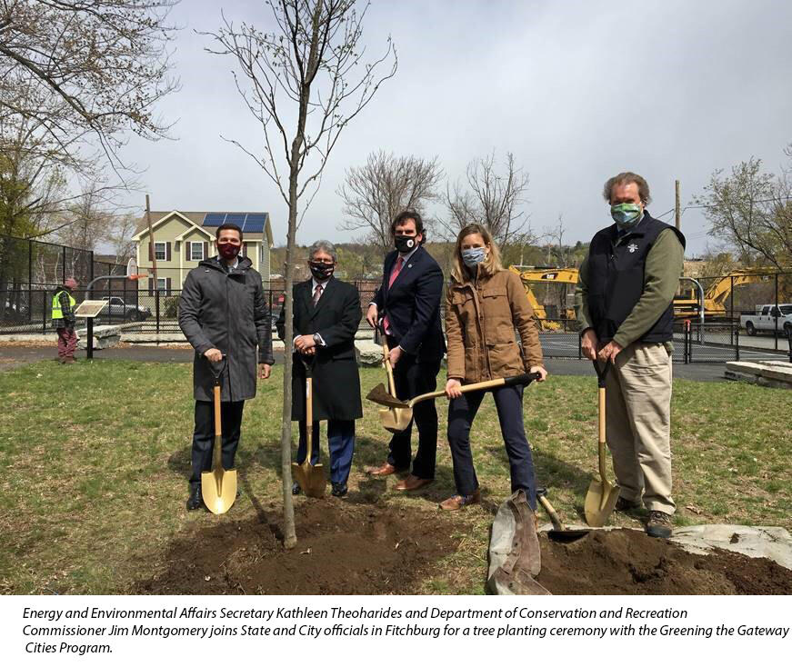 tree planting