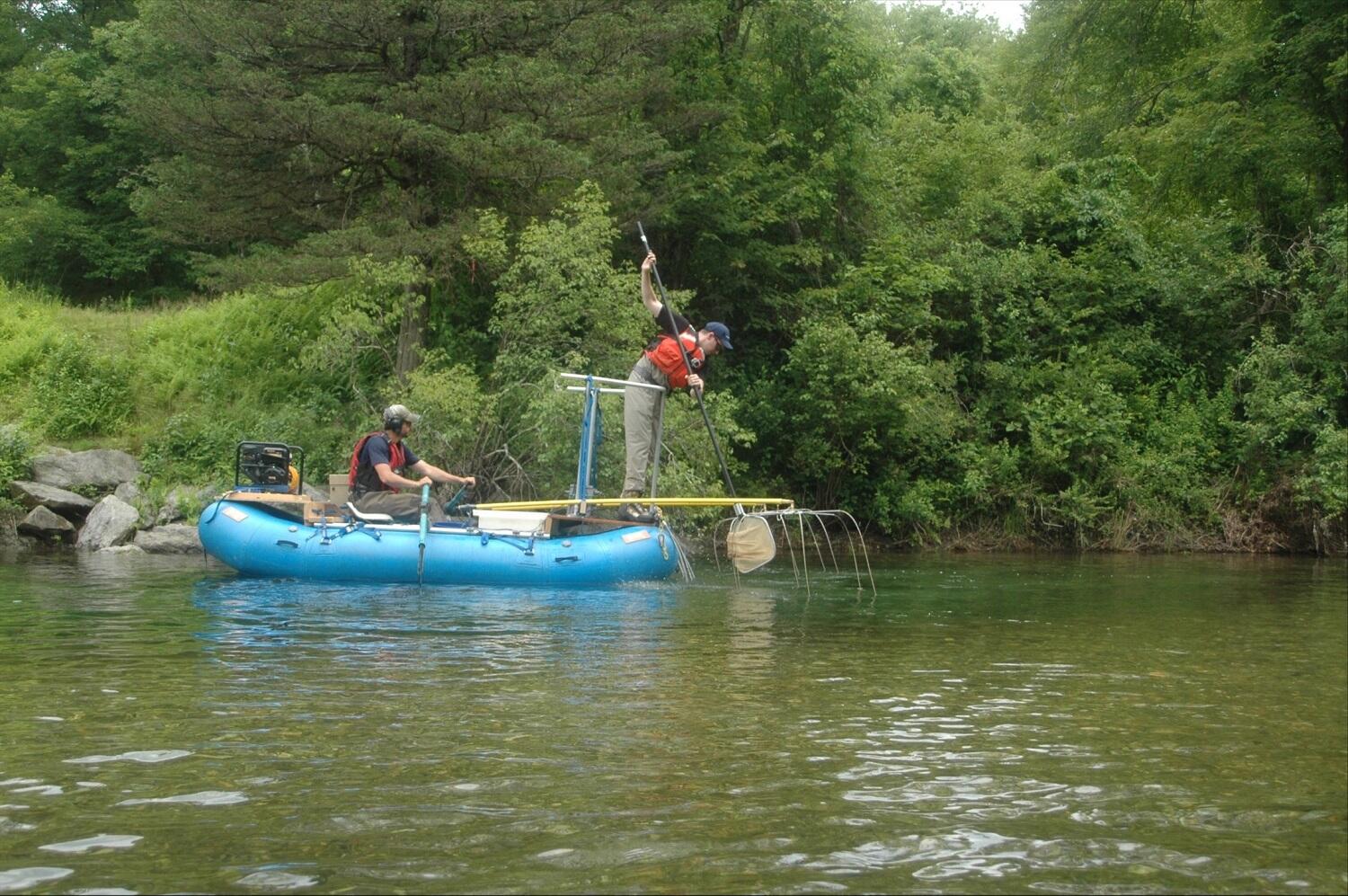 swift river trout research