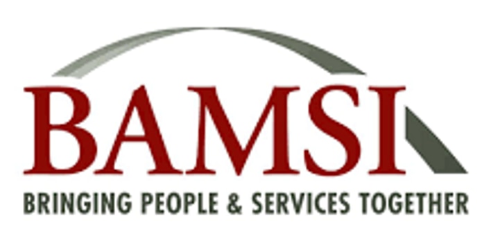An image of the BAMSI logo.