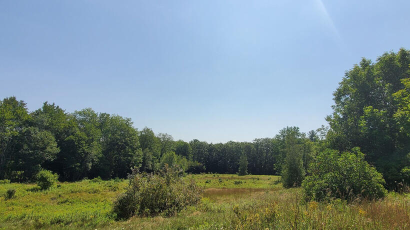 Tully Mountain Wildlife Management Area