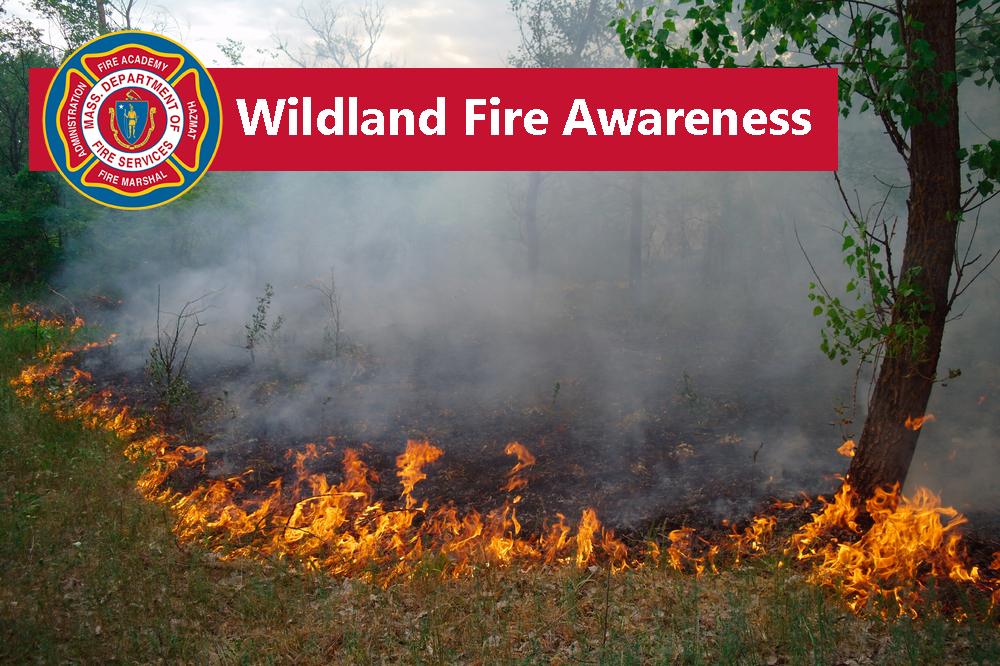 Image of a burning forest floor with words "wildland fire awareness"