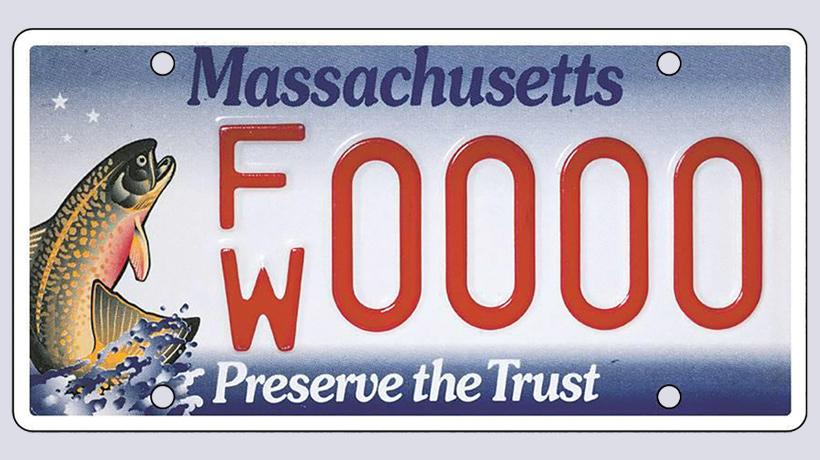 Brook Trout license plate