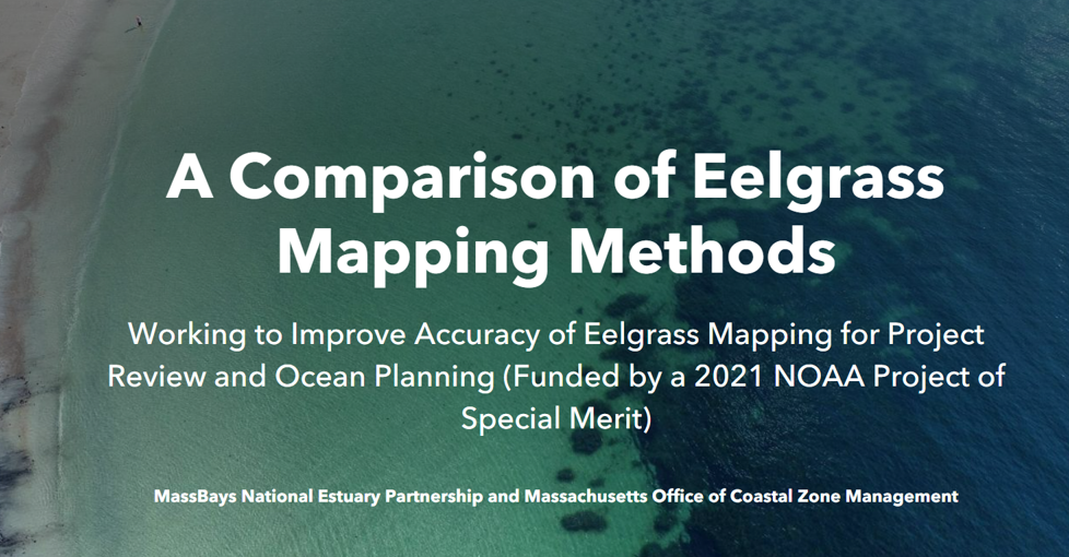 eelgrass story map image