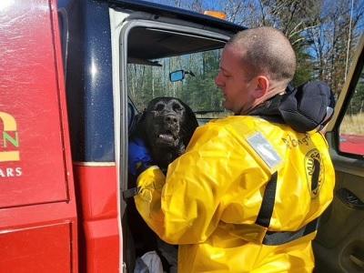 Firefighter with dog