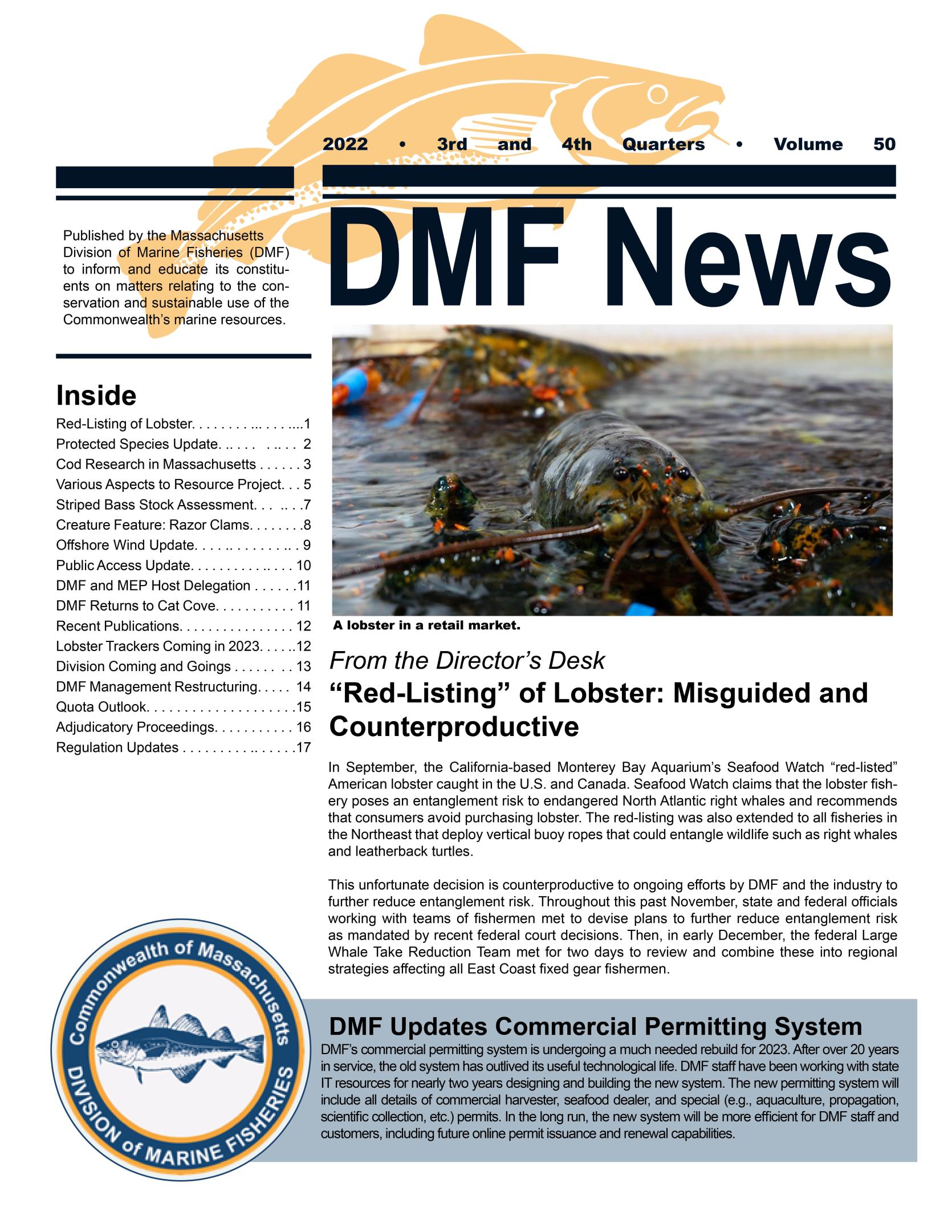 DMF News Cover