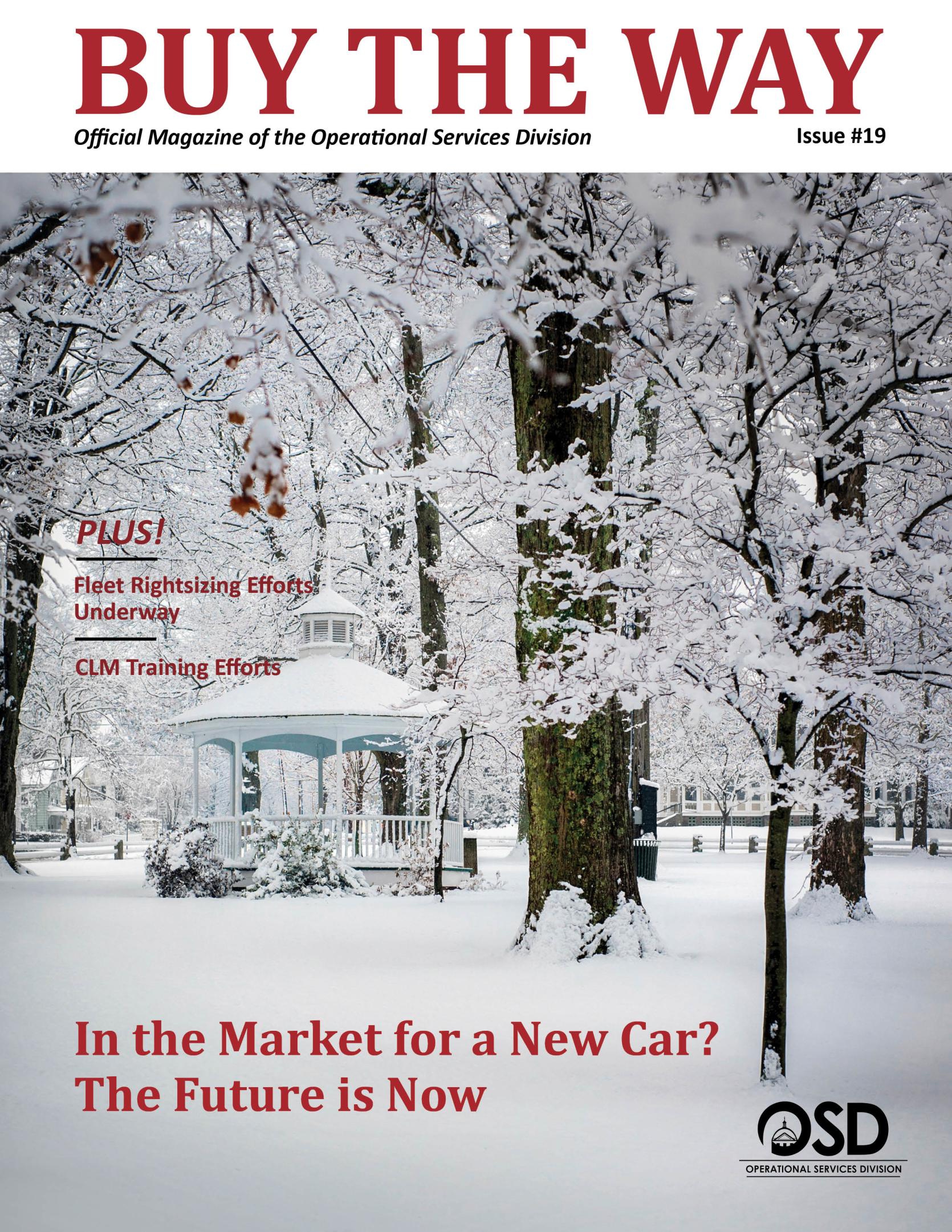 Buy the Way issue #19 cover: snowy park scene. 