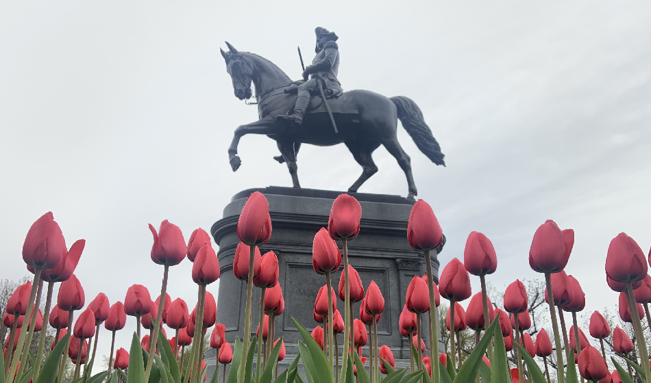 George Washington statue surrounded by flowers in the Boston Public Garden