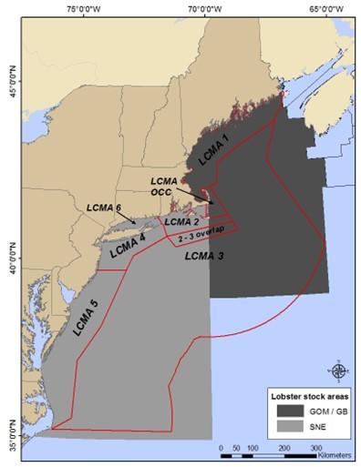 map of lobster stocks and LMAs 