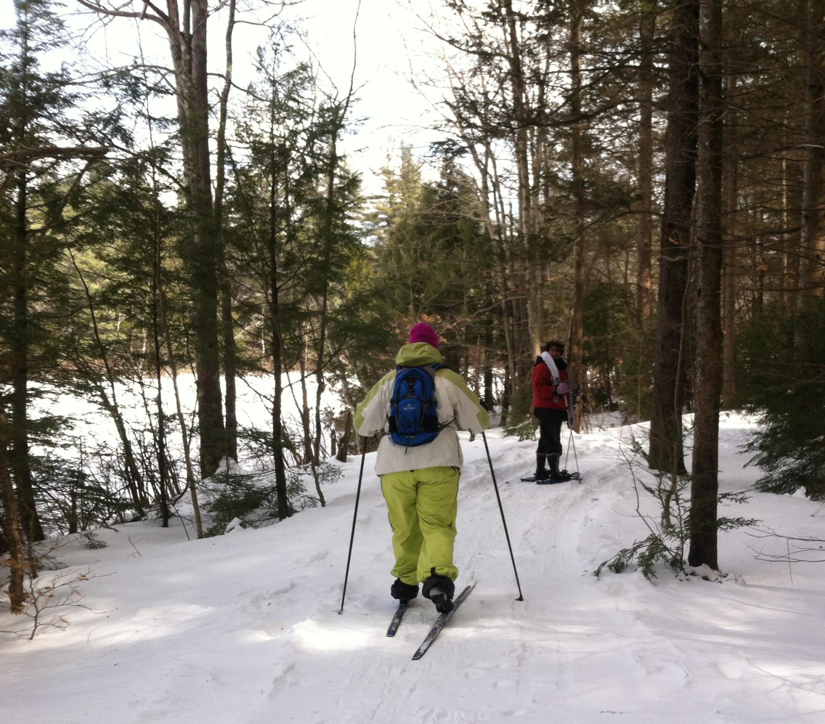 Two snowshoers on a trail in the woods.