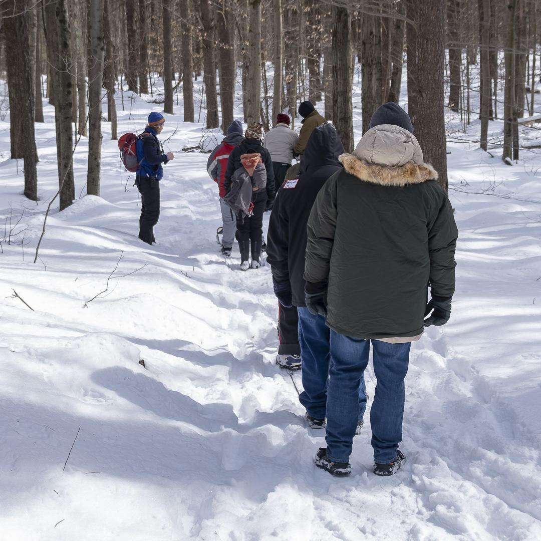 A group of hikers being lead down a snowy trail by a guide.