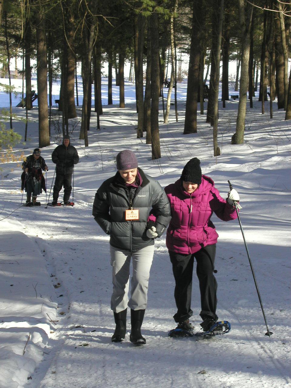 A snowshoer walking up a hill on a trail, using a ski pole whiled holding the hand of another person. Further down the hill, another pair of snowshoers are using ski poles.