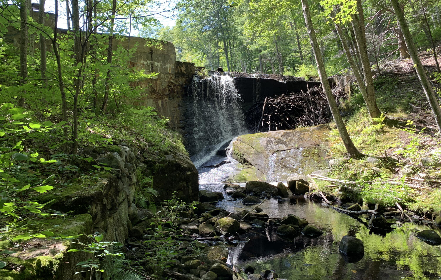 Thousand Acre Reservoir Dam