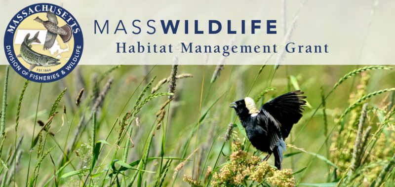 MassWildlife Logo + Banner for Habitat Management Grant Program depicts grasslands and bird.
