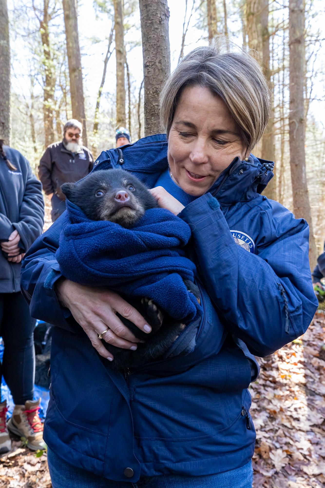 Governor Healey holds Bear