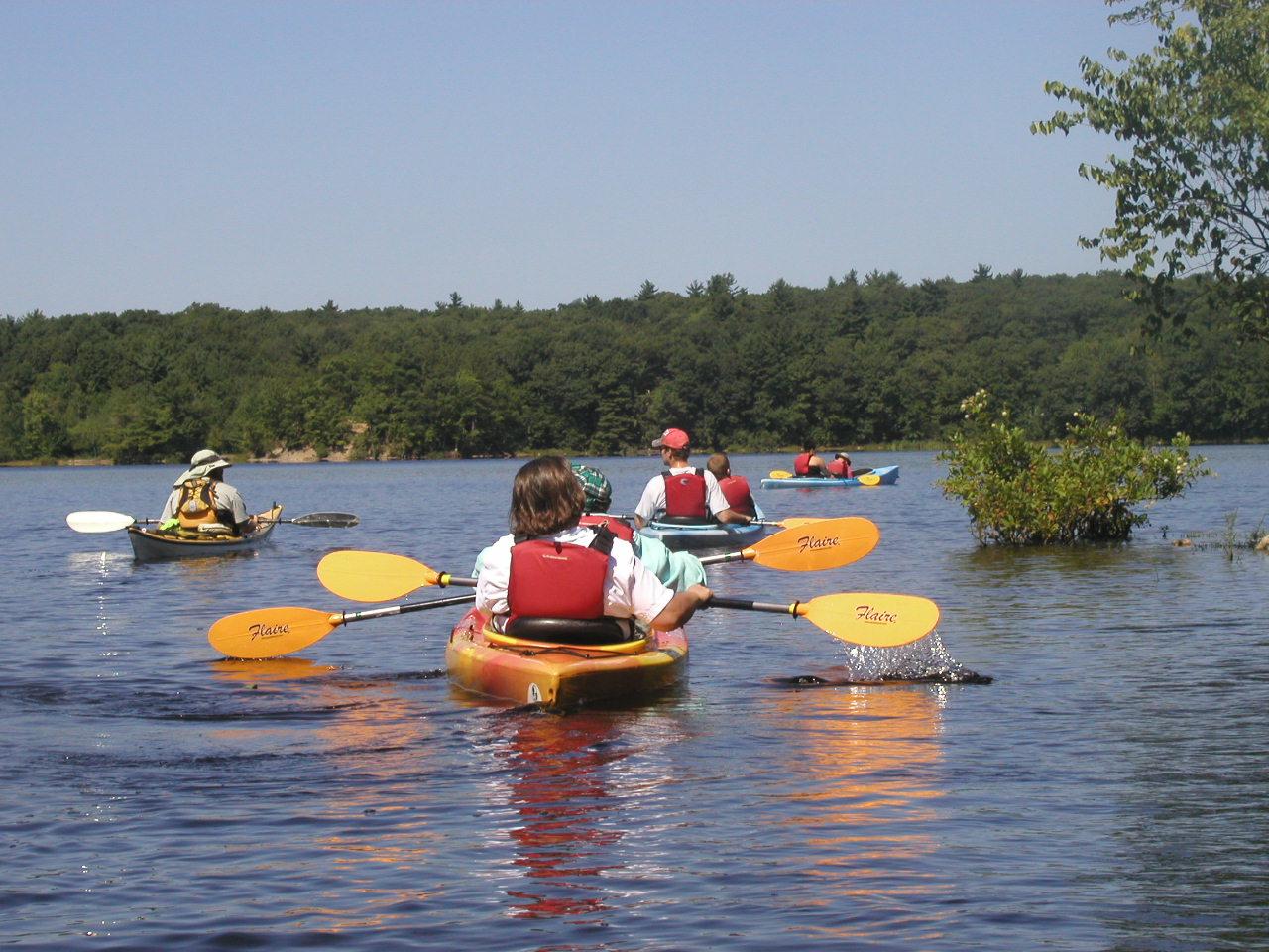 A group of tandem kayakers head out on a large body of water surrounded by trees.