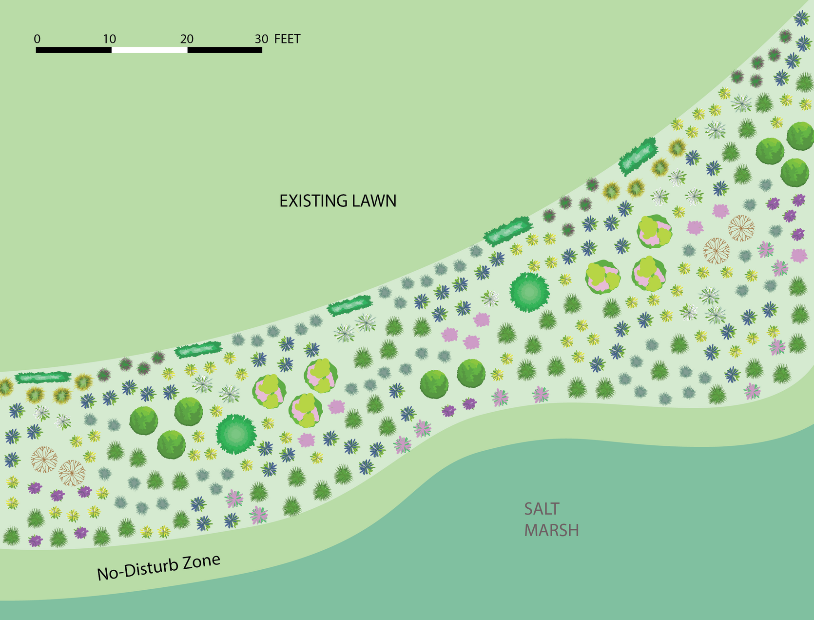 Sample Landscape Plan for a Meadow Buffer to Salt Marsh | Mass.gov