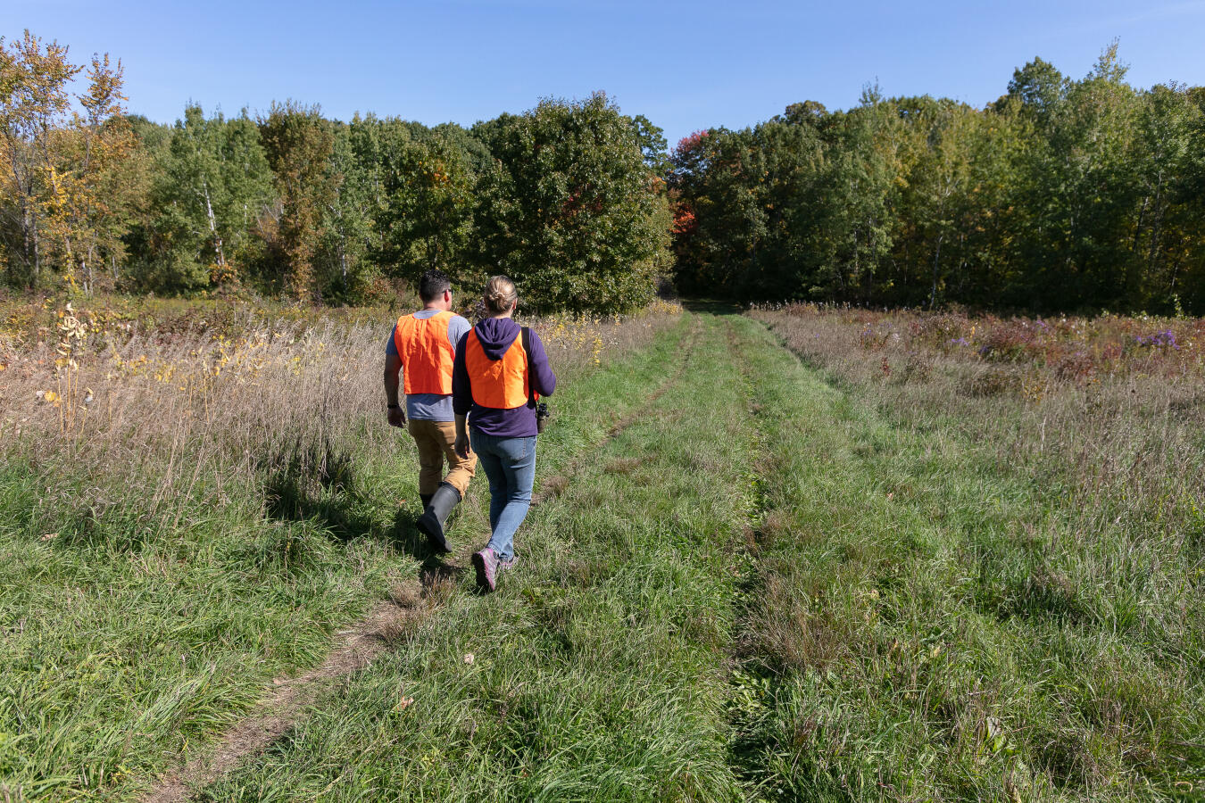 walking with orange vests