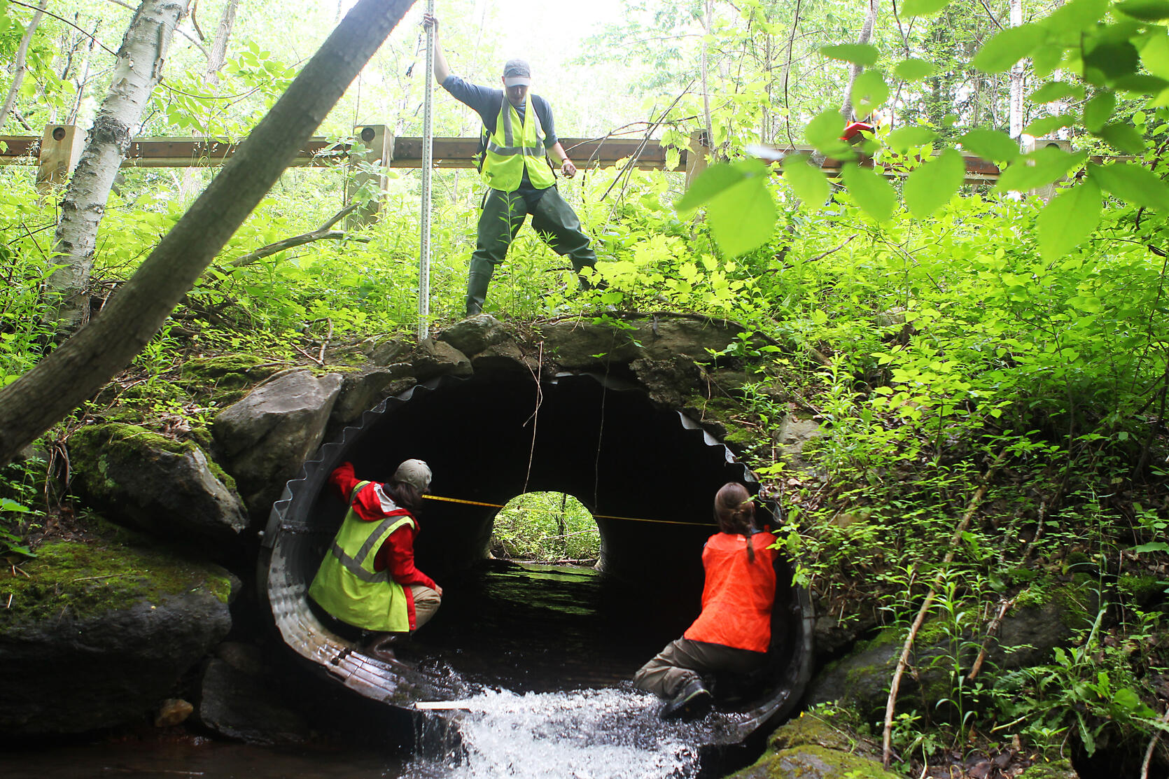 DER staff and partners assess a culvert in North Adams, Massachusetts in 2019.