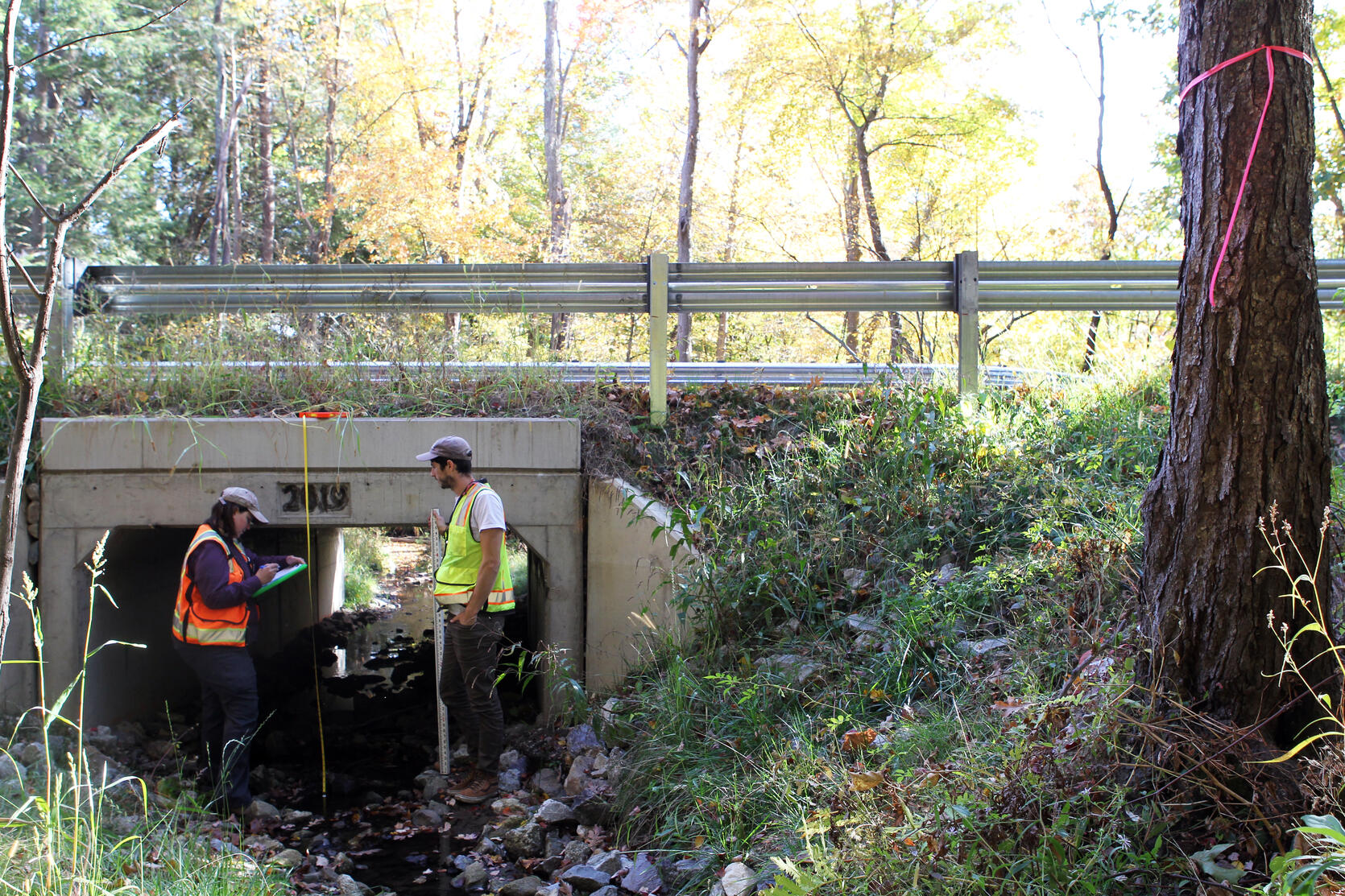 Two people assessing a culvert.