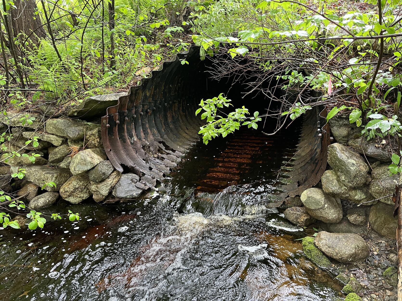 Innovative program builds local capacity for upgrading undersized culverts to enhance public safety and climate resilience.