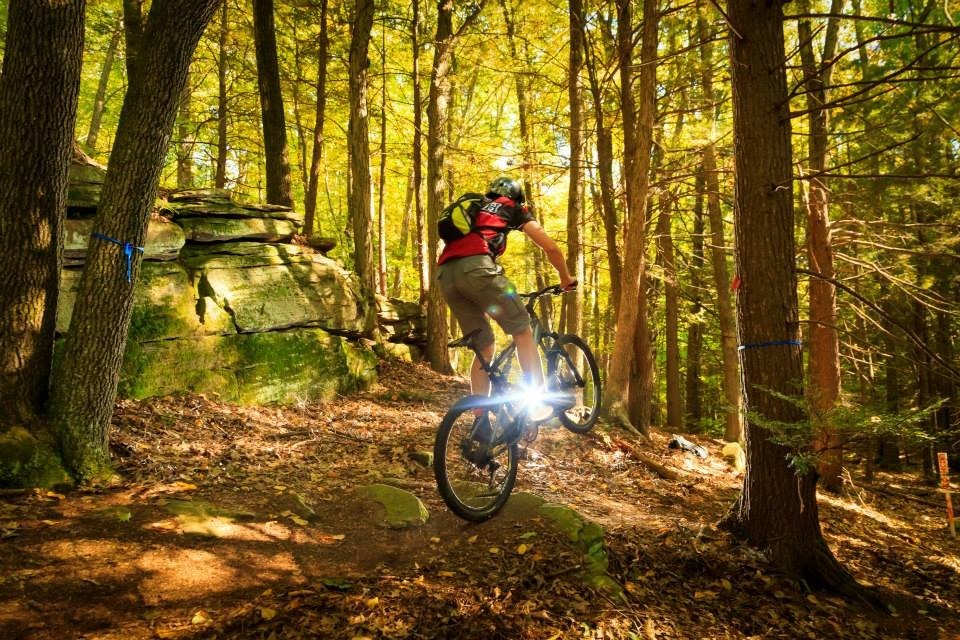 Mountain biker
