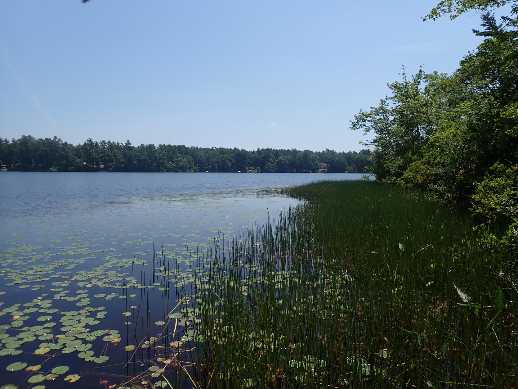 Tidewater Mucket | Mass.gov