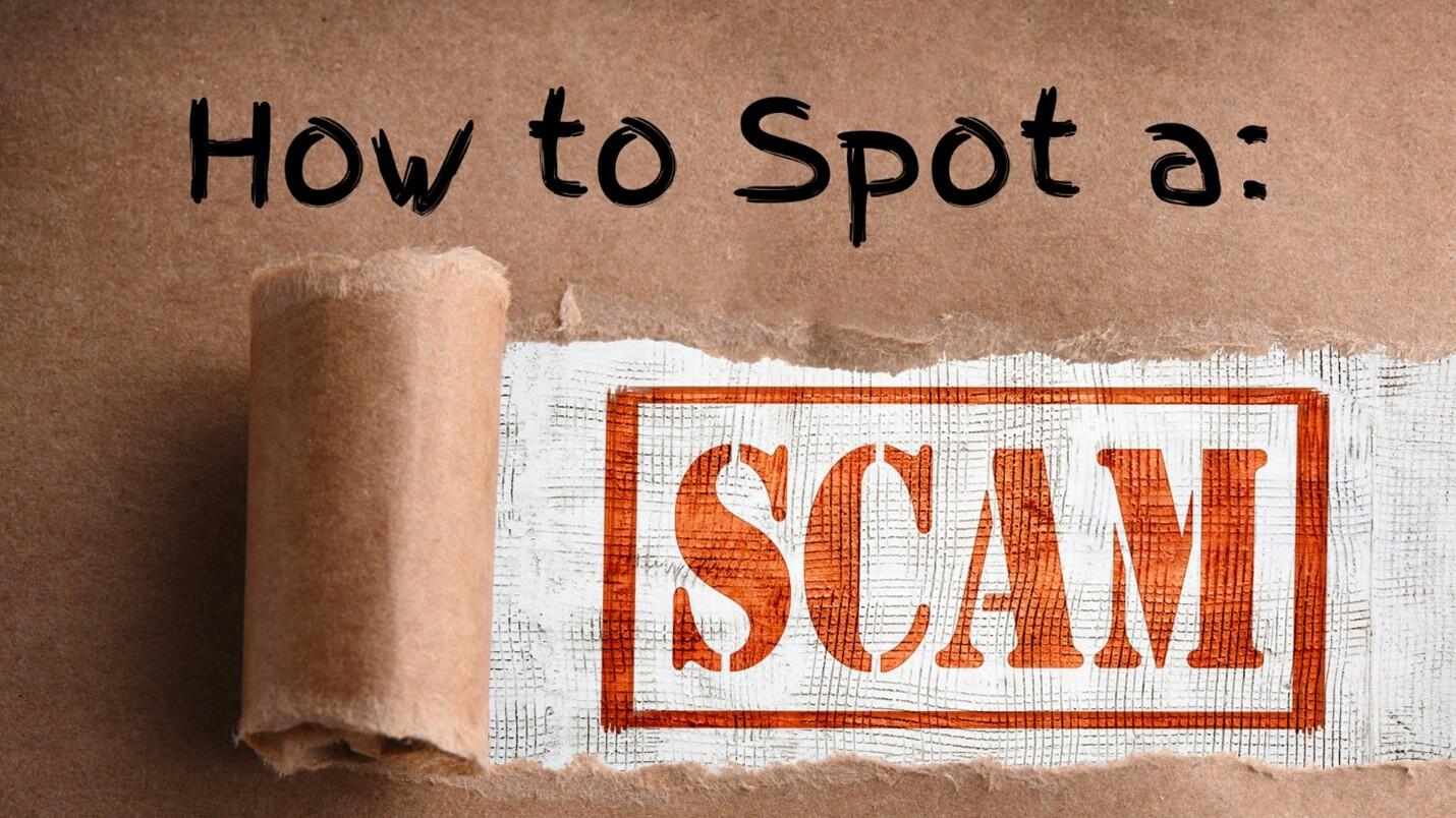 Graphic with headline "How to Spot a Scam."