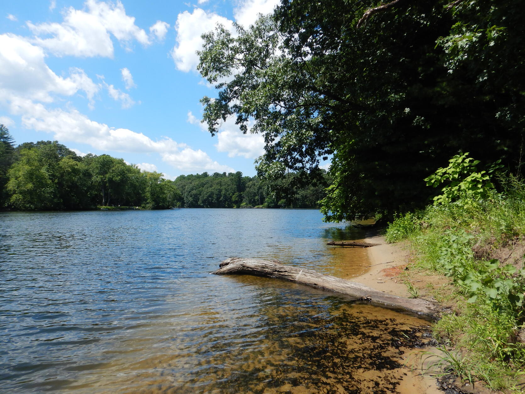Alewife Floater | Mass.gov