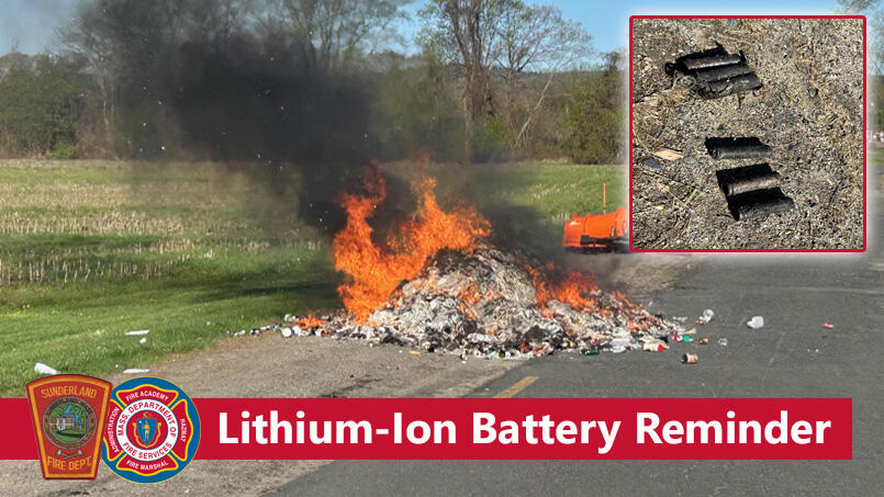 Lithium-ion battery reminder