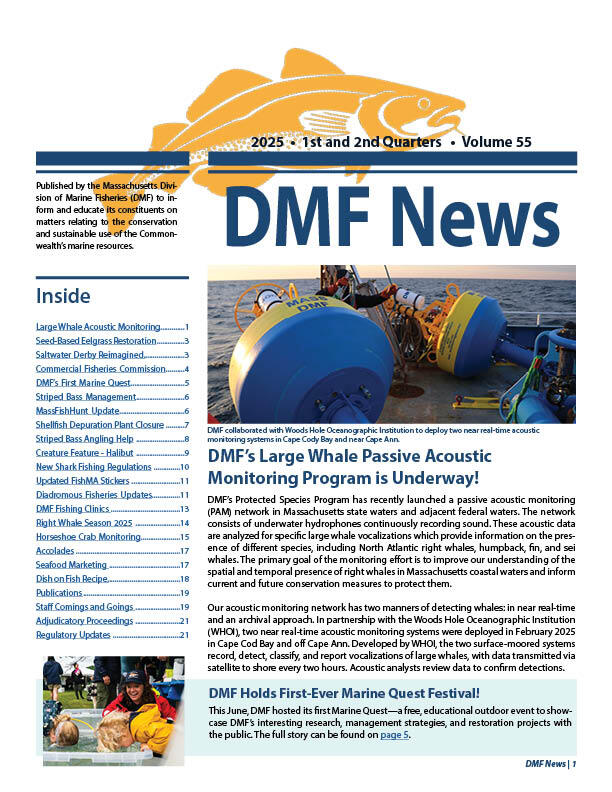 Cover of the DMF News 2025 Q1 and Q2.