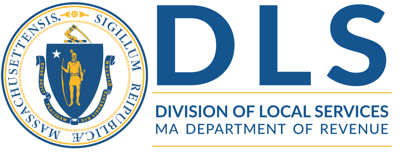 Division of Local Services